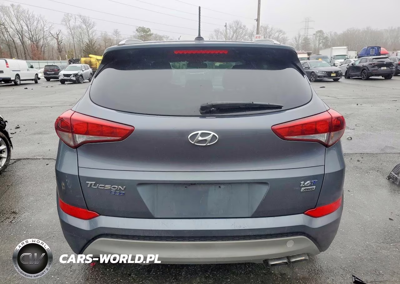 2017 Hyundai Tucson Eco VIN:KM8J3CA2XHU341936 - 6
