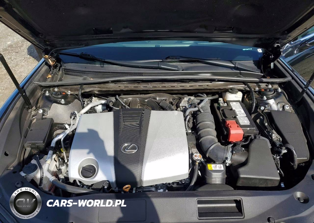 2023 Lexus Es 350 Base VIN:58ADZ1B1XPU149185 - 11