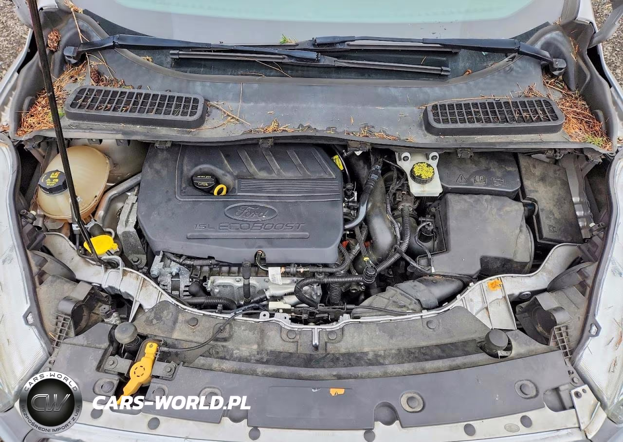 2017 Ford Escape Se VIN:1FMCU0GD4HUA54797 - 12