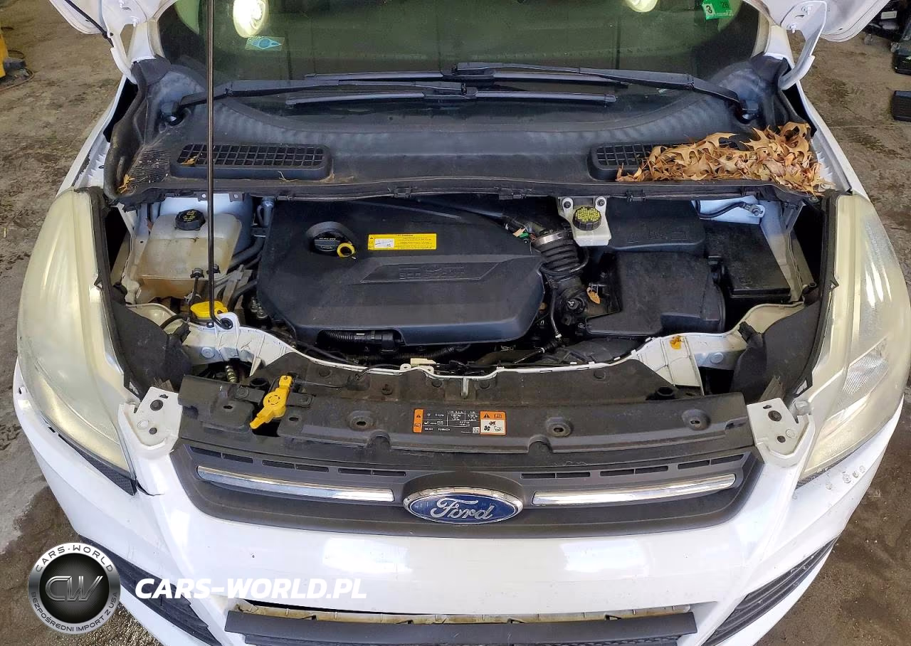2016 Ford Escape Se VIN:1FMCU0GX5GUA42179 - 12