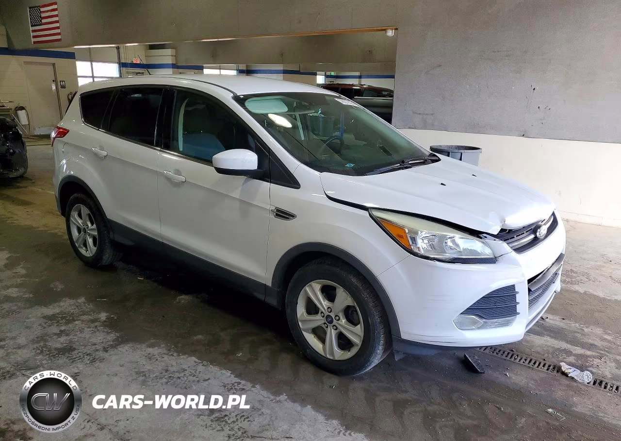 2016 Ford Escape Se VIN:1FMCU0GX5GUA42179 - 4