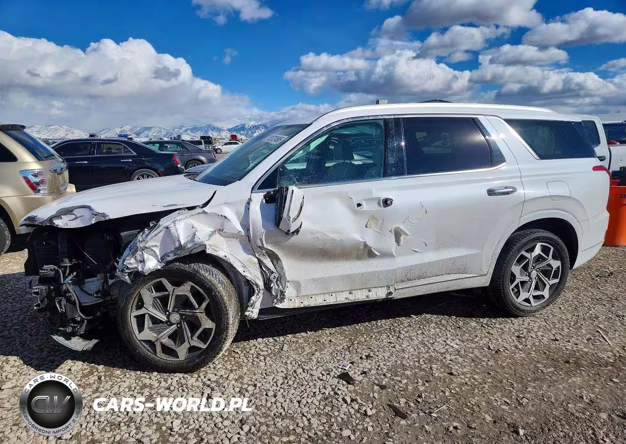 2021 Hyun Palisade Calligraphy