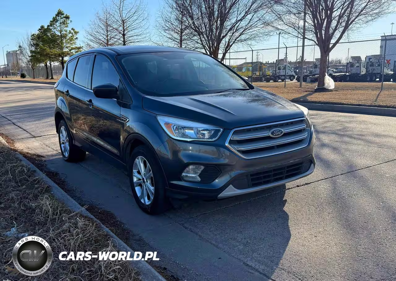 2019 Ford Escape Se