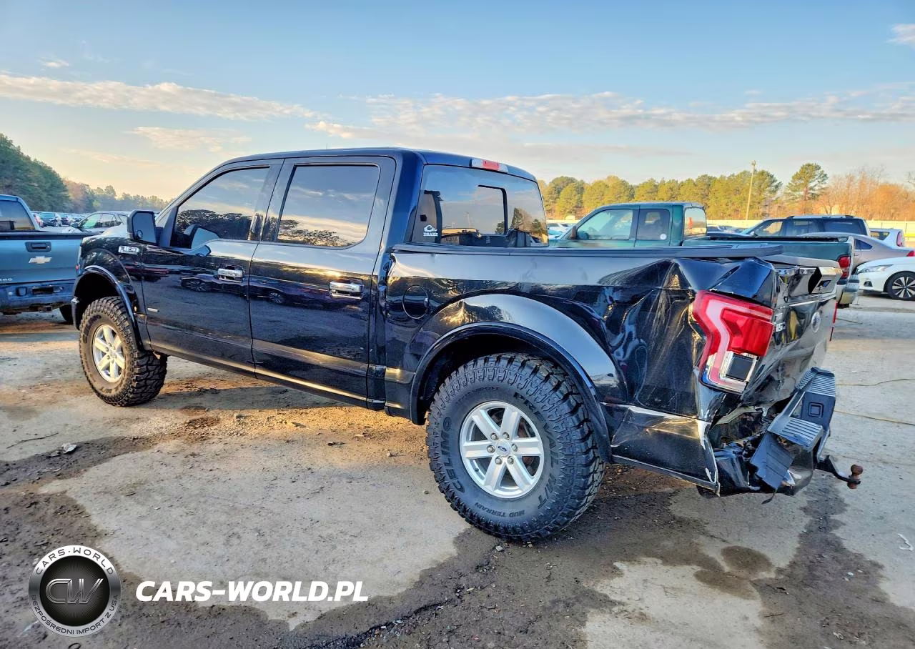 2016 Ford F150 Supercrew VIN:1FTEW1EG9GFC02973 - 2