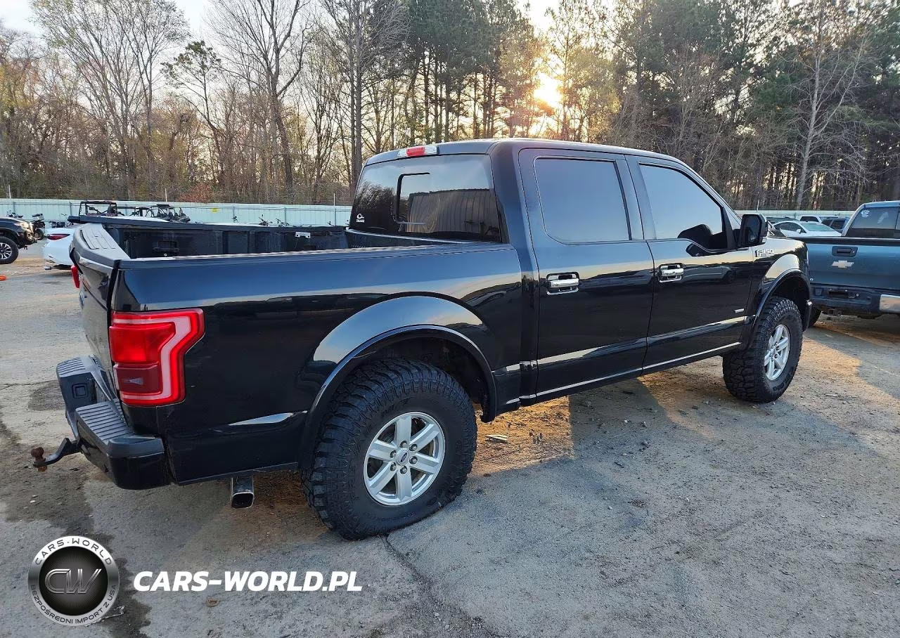 2016 Ford F150 Supercrew VIN:1FTEW1EG9GFC02973 - 3