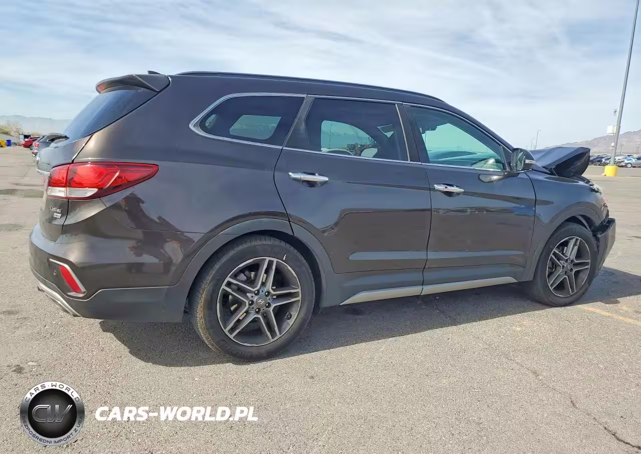 2017 Hyundai Santa Fe Limited Ultimate VIN:KM8SR4HF3HU171436 - 3