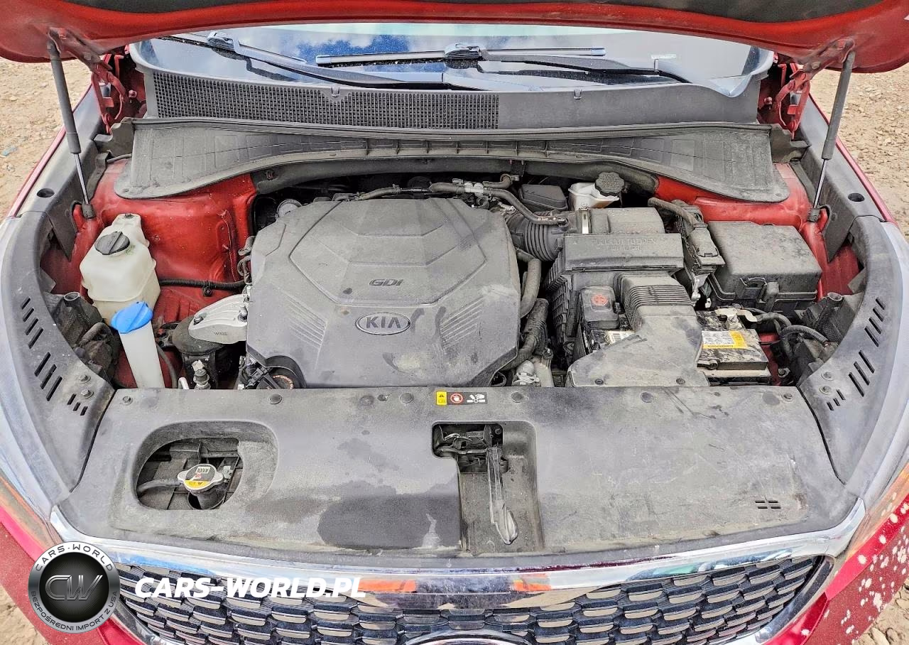 2019 Kia Sorento Sx V6 VIN:5XYPKDA53KG544158 - 12