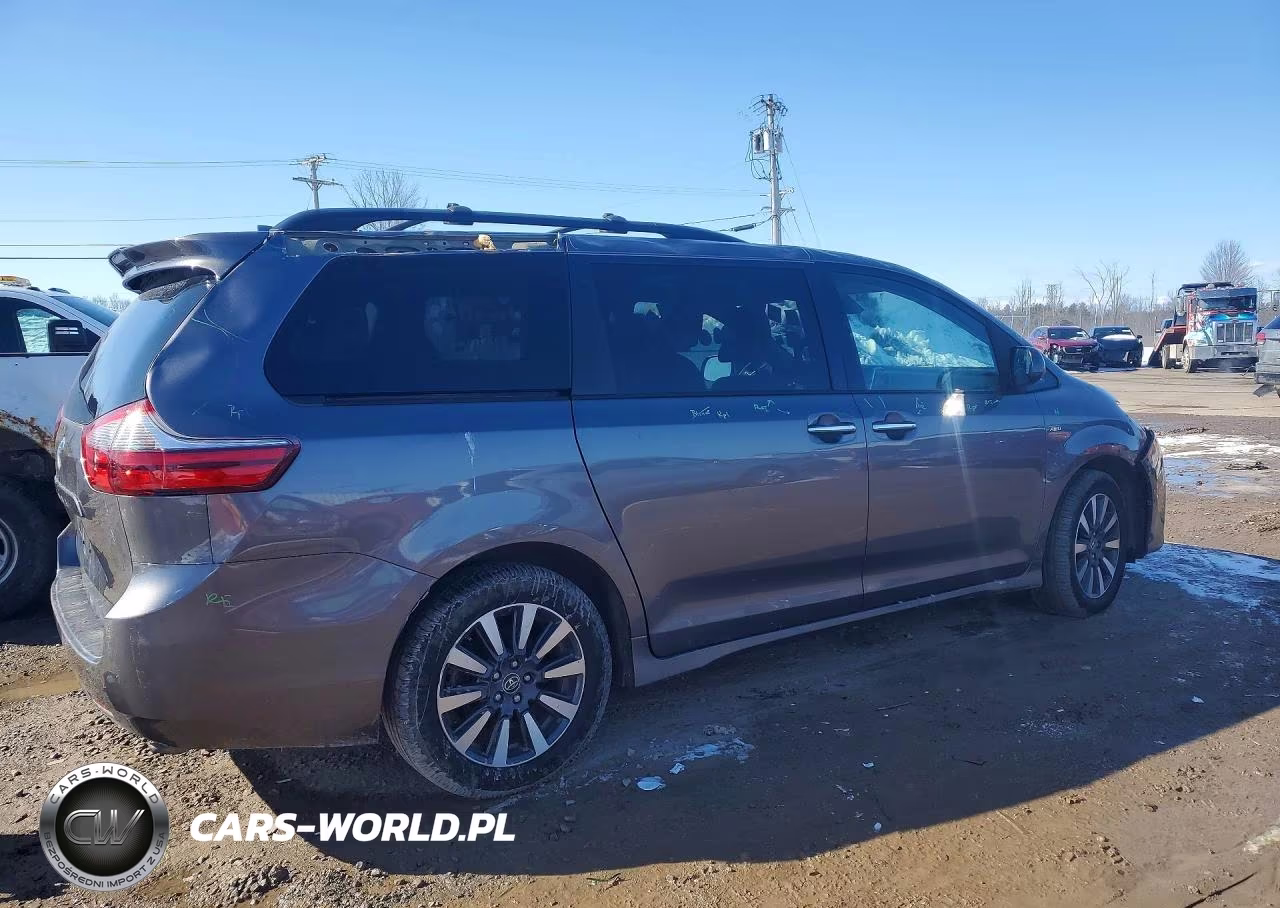 2020 Toyota Sienna Xle VIN:5TDDZ3DC8LS230674 - 3