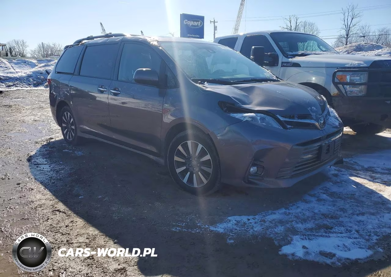 2020 Toyota Sienna Xle VIN:5TDDZ3DC8LS230674 - 4