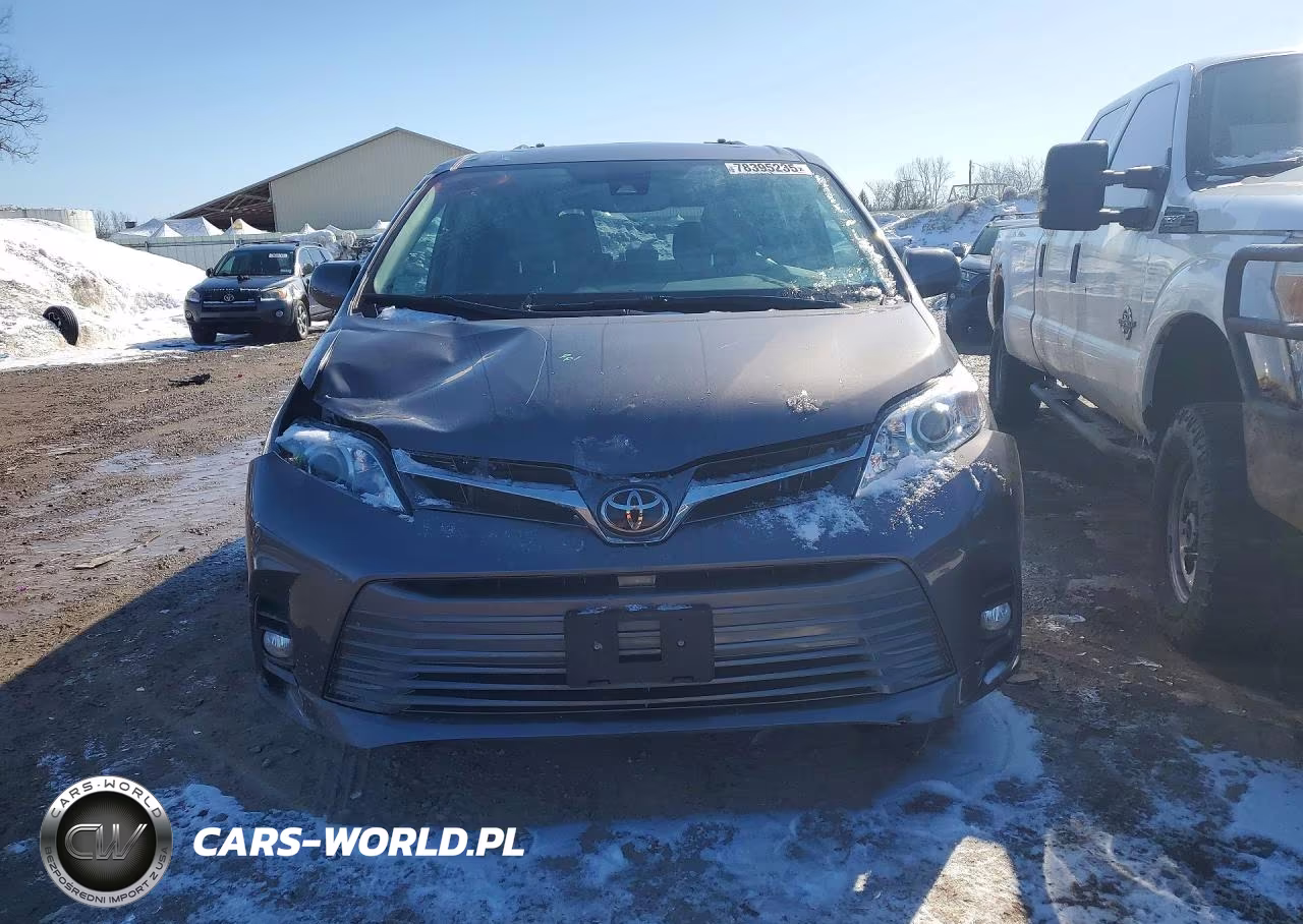 2020 Toyota Sienna Xle VIN:5TDDZ3DC8LS230674 - 5