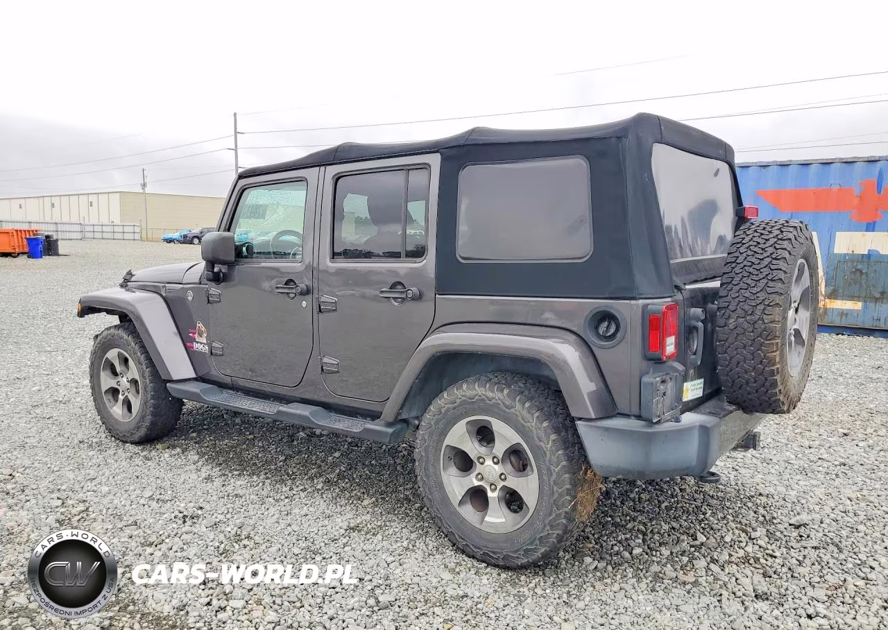 2017 Jeep Wrangler Unlimited Sahara VIN:1C4BJWEG1HL506901 - 2