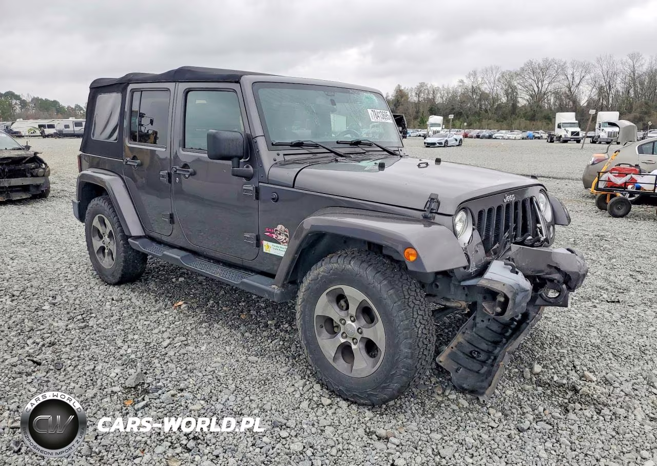 2017 Jeep Wrangler Unlimited Sahara VIN:1C4BJWEG1HL506901 - 4