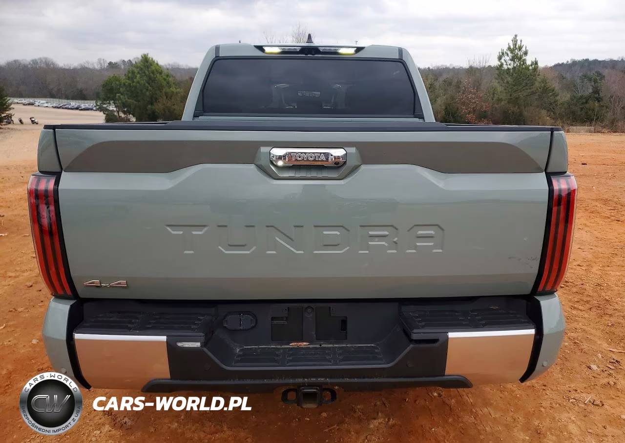 2025 Toyota Tundra Limited VIN:5TFJA5DB7SX252591 - 6