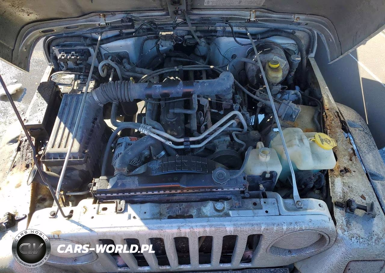 2003 Jeep Wrangler - Tj Rubicon VIN:1J4FA69S93P376006 - 11
