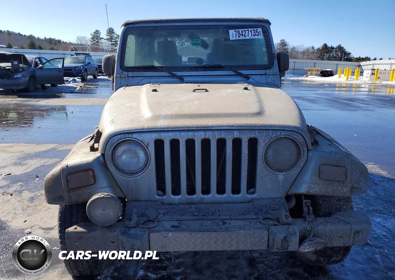 2003 Jeep Wrangler - Tj Rubicon VIN:1J4FA69S93P376006 - 5