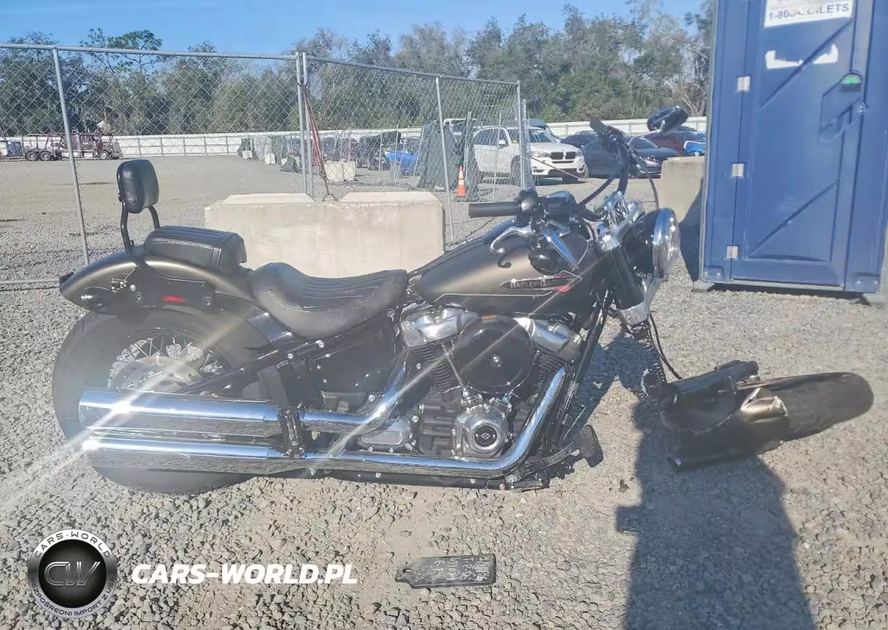 2021 Harley-Davidson Flsl