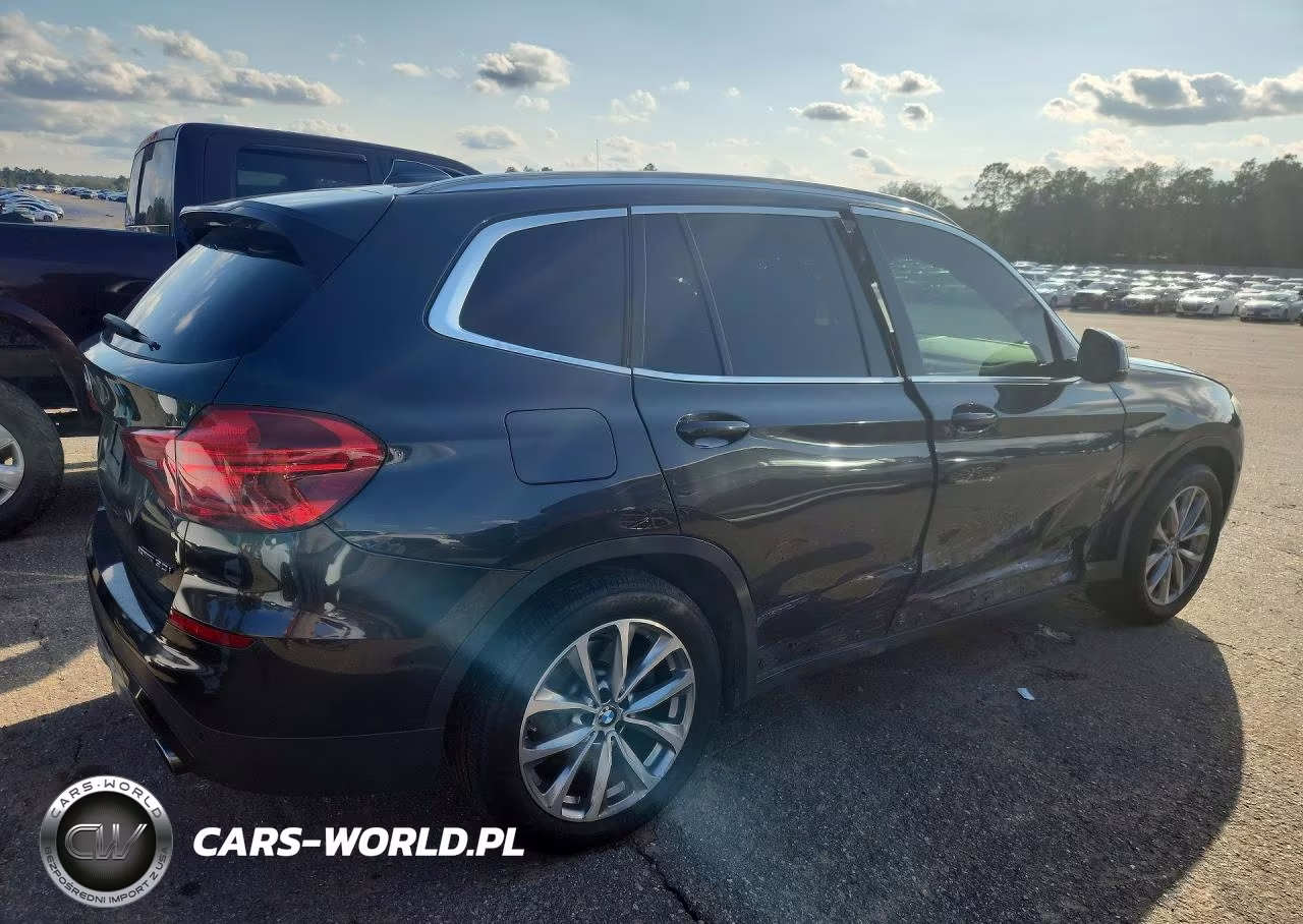 2019 BMW X3 Sdrive30I VIN:5UXTR7C5XKLE97662 - 3
