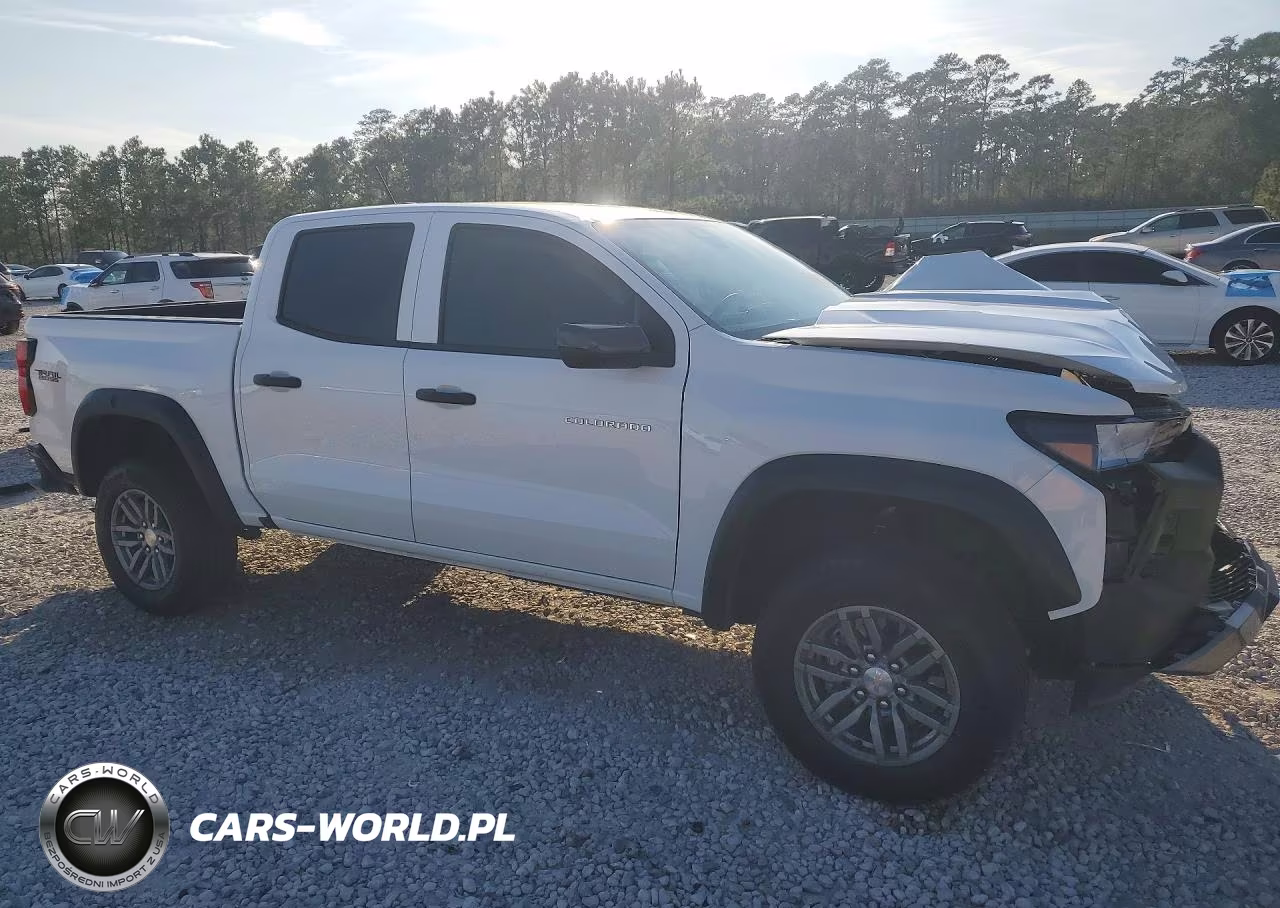 2025 Chevrolet Colorado Trail Boss VIN:1GCPTEEK2S1204809 - 4