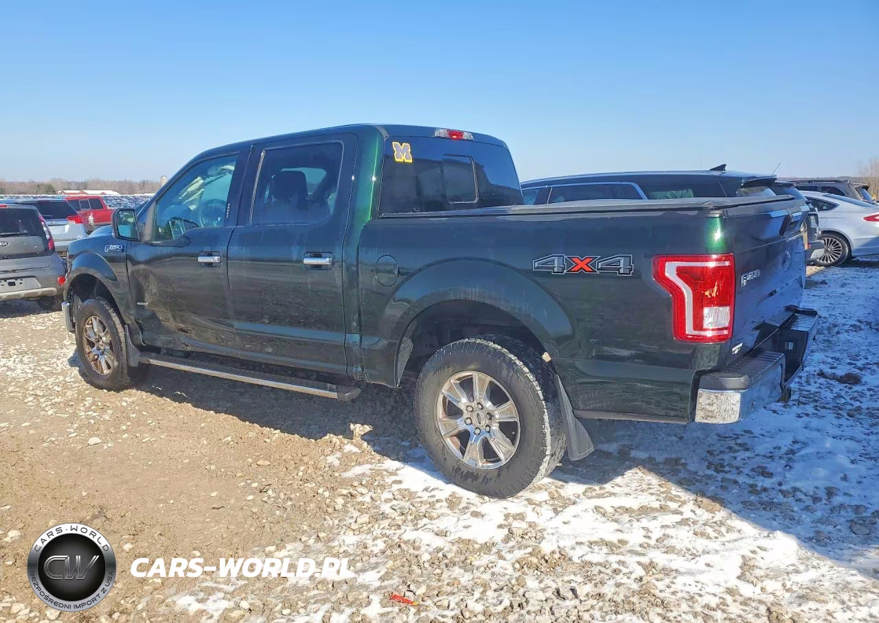 2016 Ford F150 Supercrew VIN:1FTEW1EG2GFB10491 - 2
