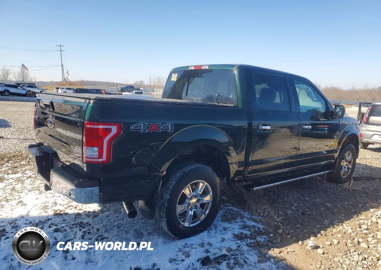 2016 Ford F150 Supercrew VIN:1FTEW1EG2GFB10491 - 3