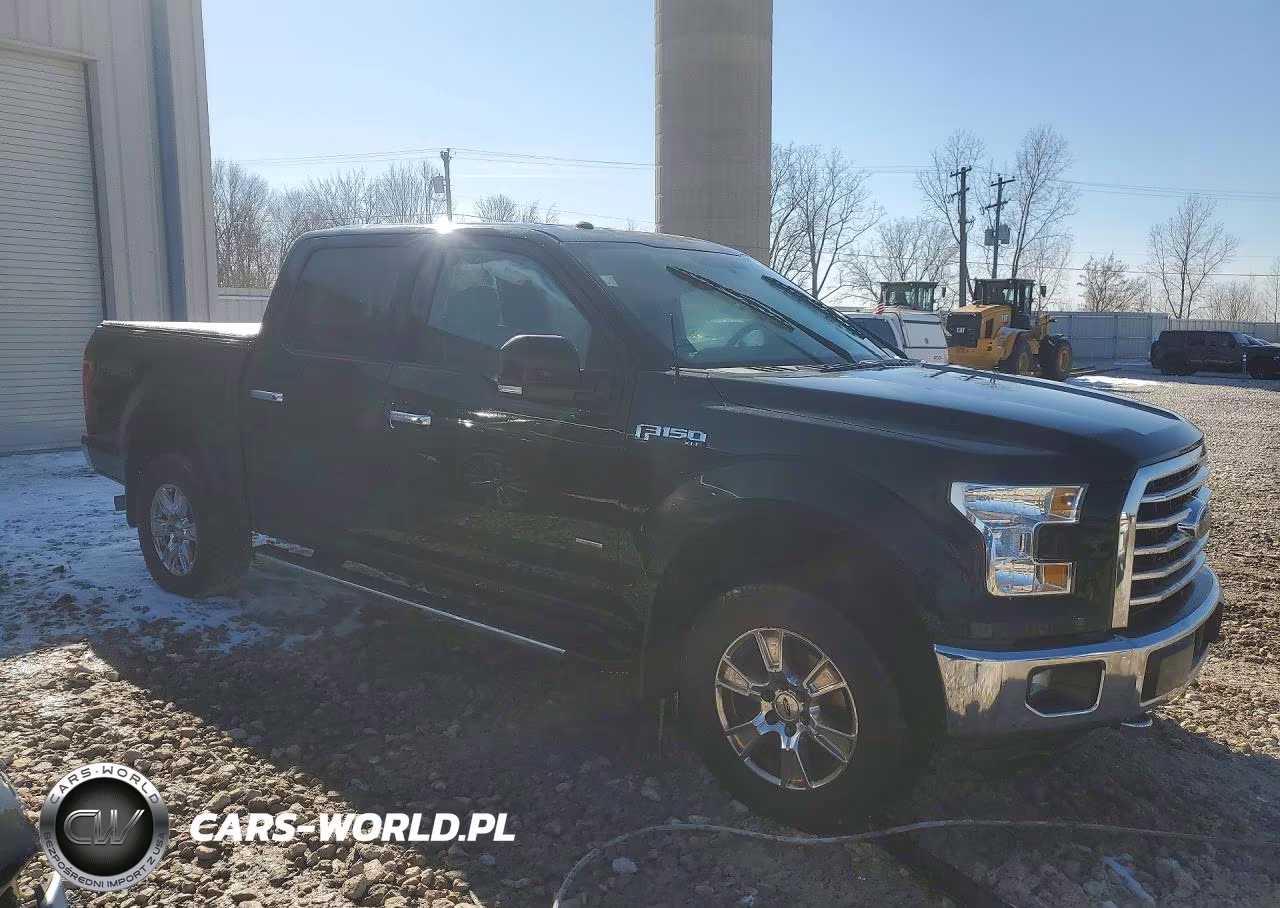 2016 Ford F150 Supercrew VIN:1FTEW1EG2GFB10491 - 4