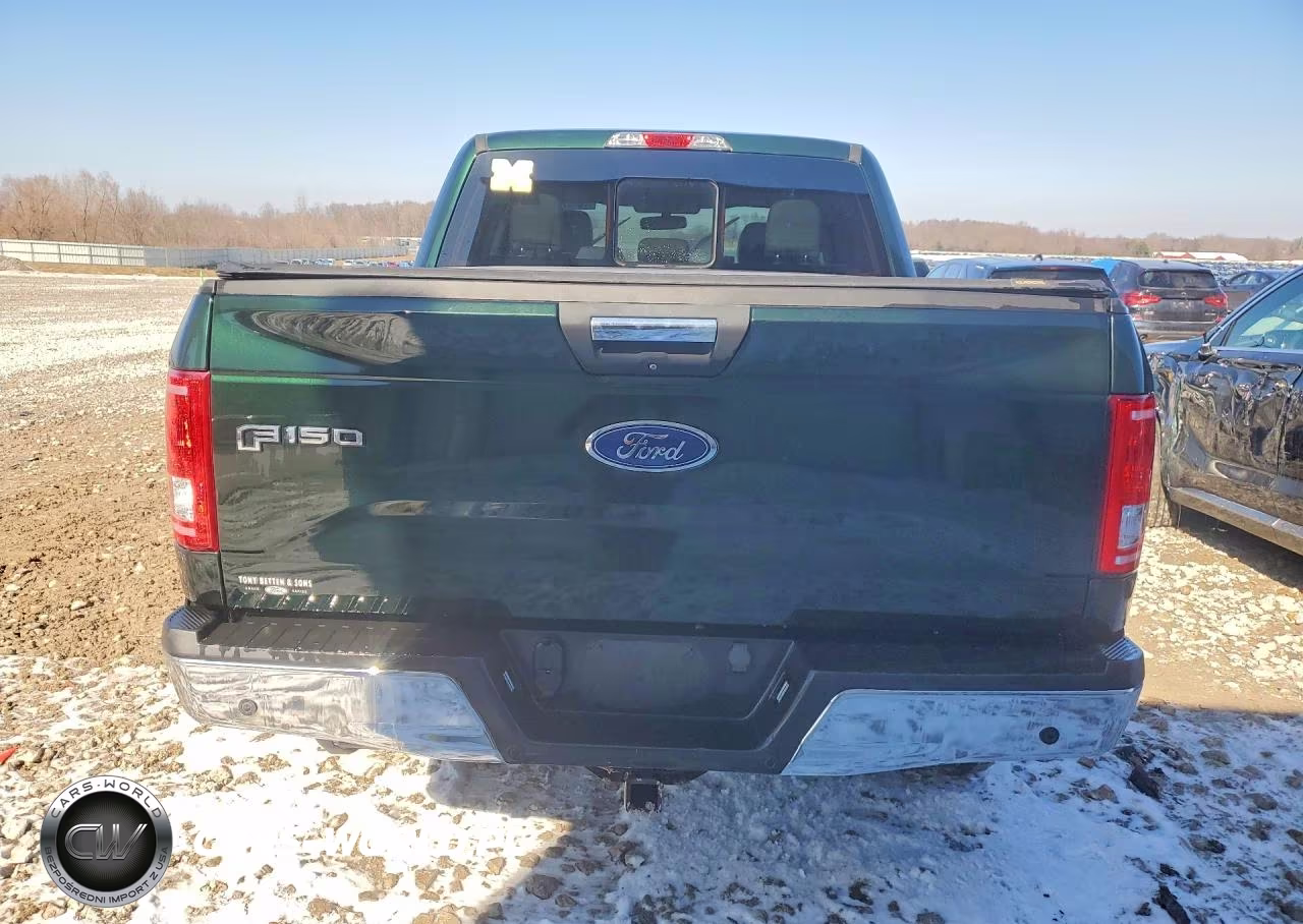 2016 Ford F150 Supercrew VIN:1FTEW1EG2GFB10491 - 6