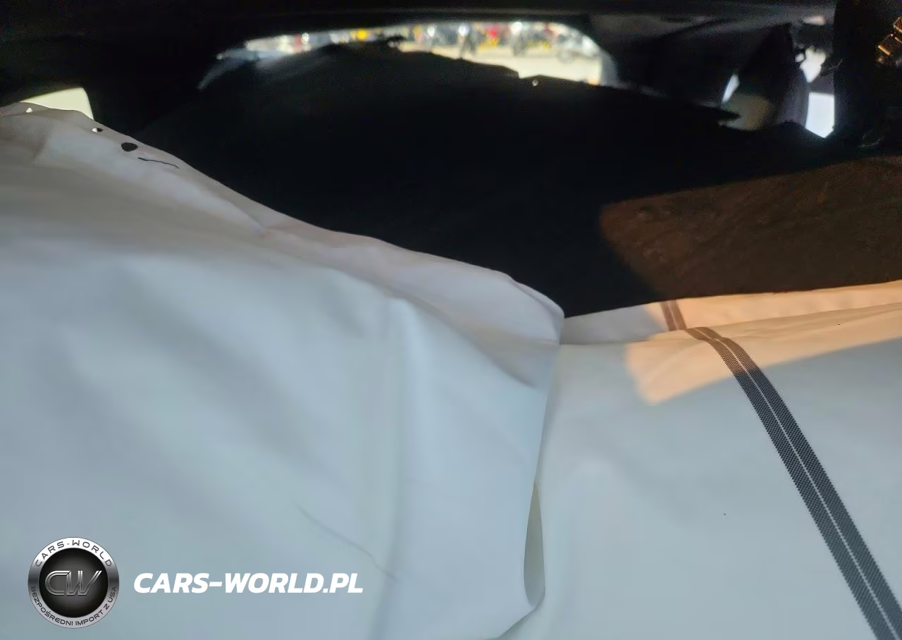 2025 Tesla Model X VIN:7SAXCAE55SF466112 - 10