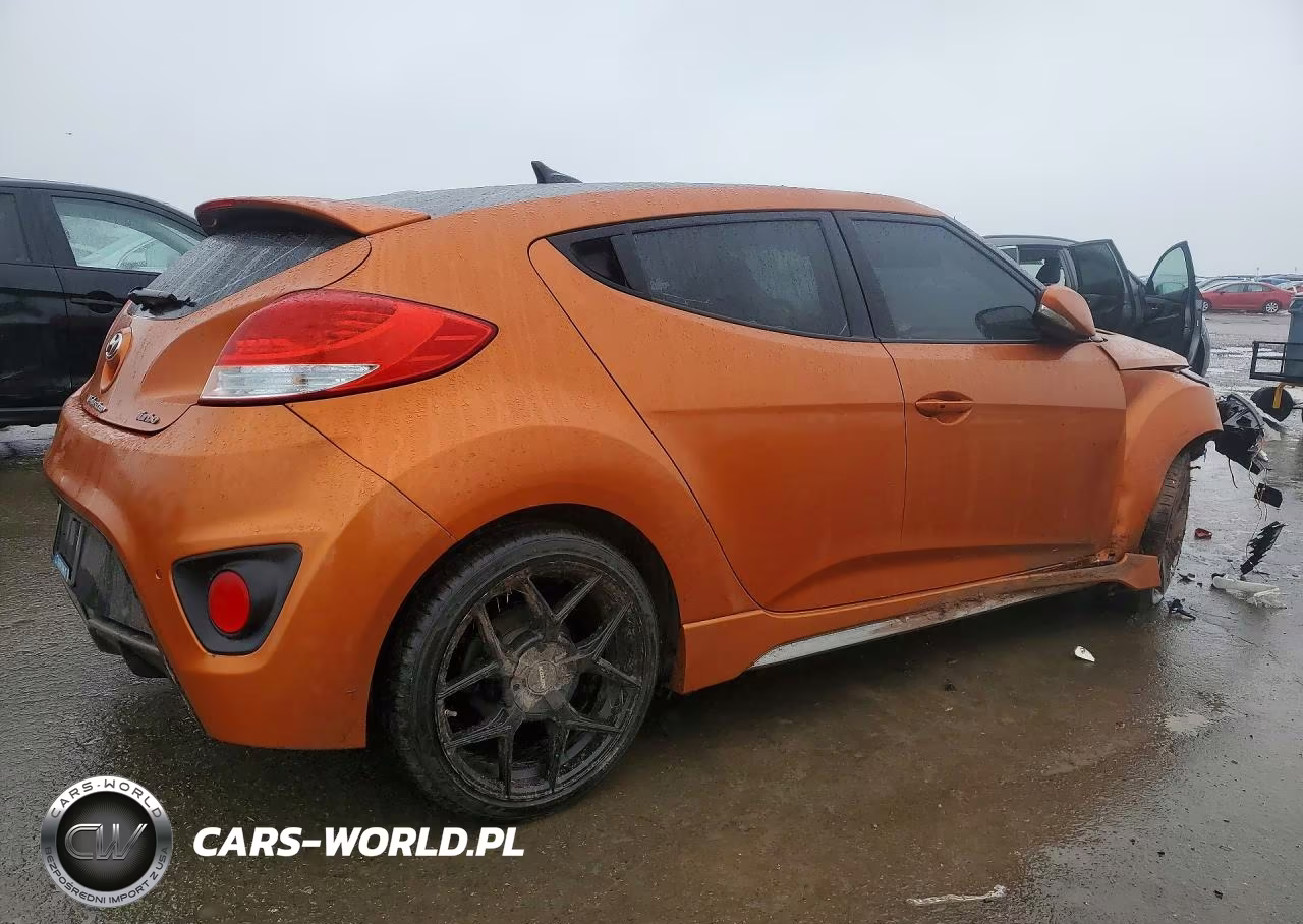 2015 Hyundai Veloster Turbo VIN:KMHTC6AE5FU222306 - 3