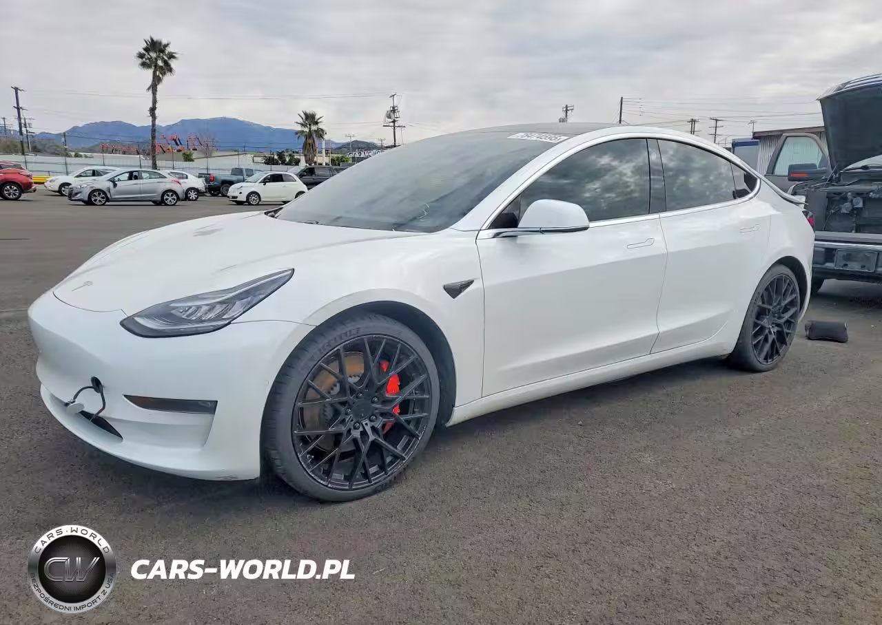 2019 Tesla Model 3