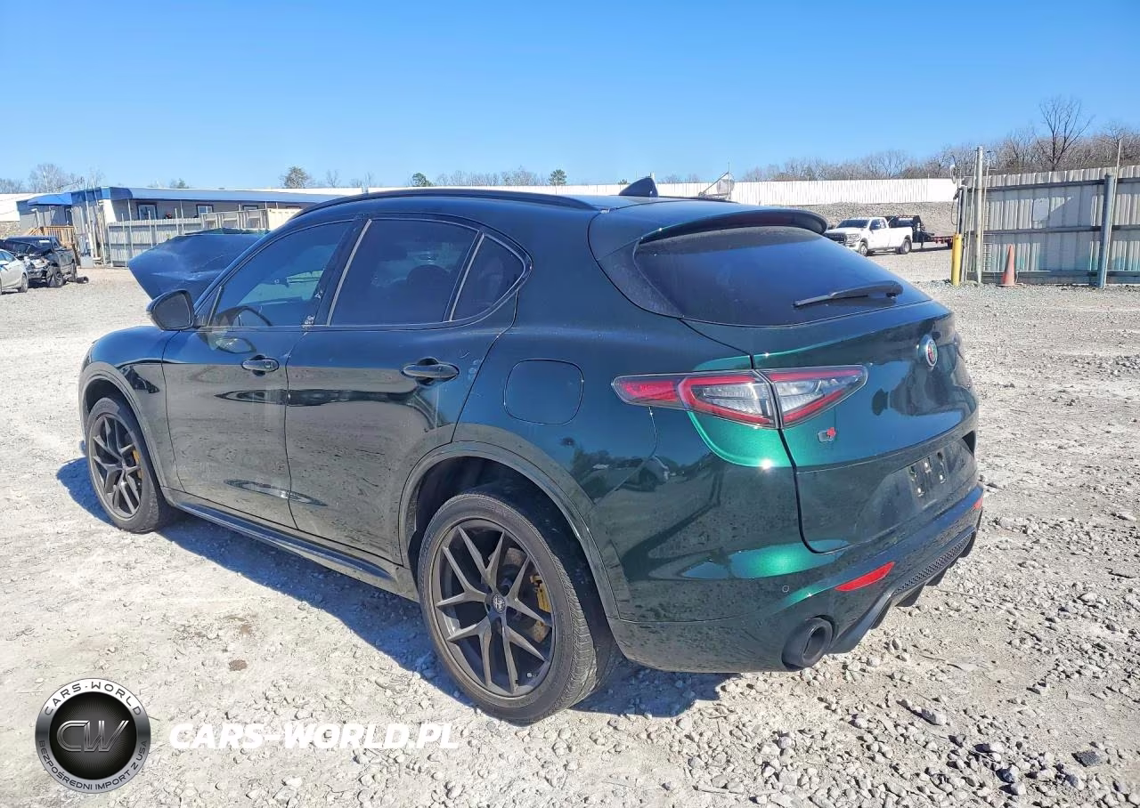2021 Alfa Romeo Stelvio Ti VIN:ZASPAKBN6M7D16541 - 2