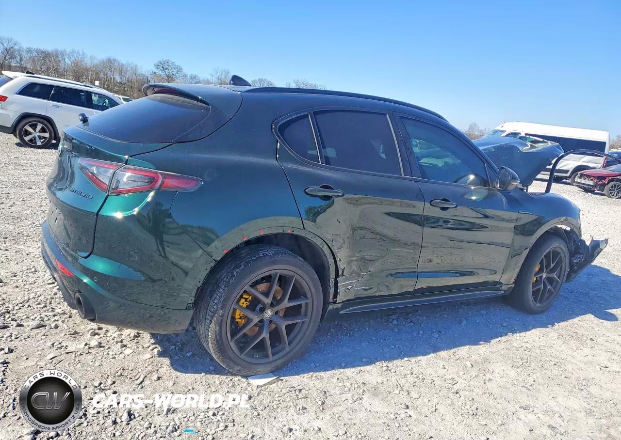 2021 Alfa Romeo Stelvio Ti VIN:ZASPAKBN6M7D16541 - 3