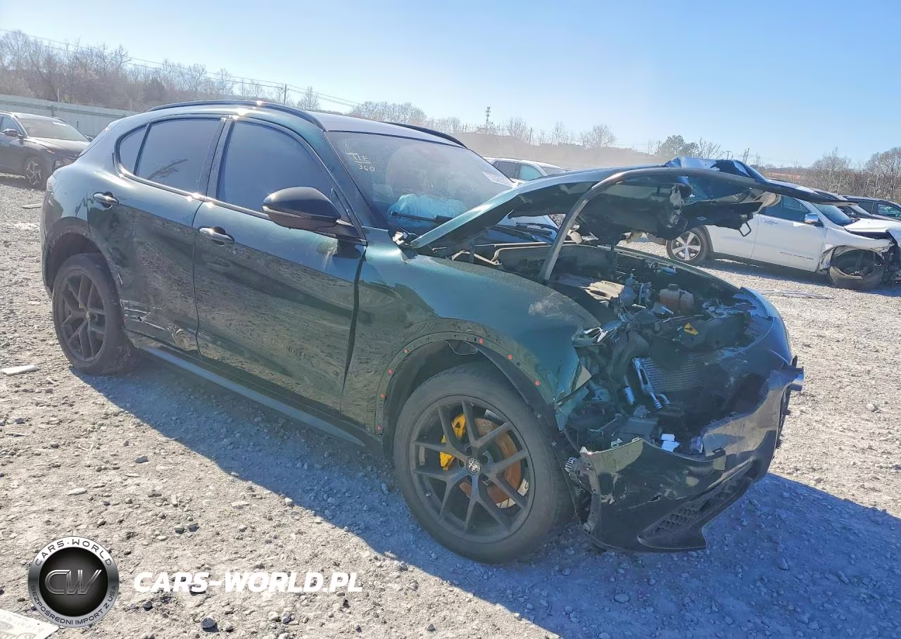 2021 Alfa Romeo Stelvio Ti VIN:ZASPAKBN6M7D16541 - 4