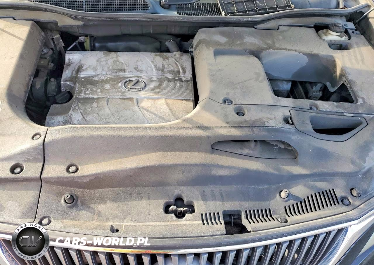 2010 Lexus Rx 350 Base VIN:2T2ZK1BA6AC002786 - 12