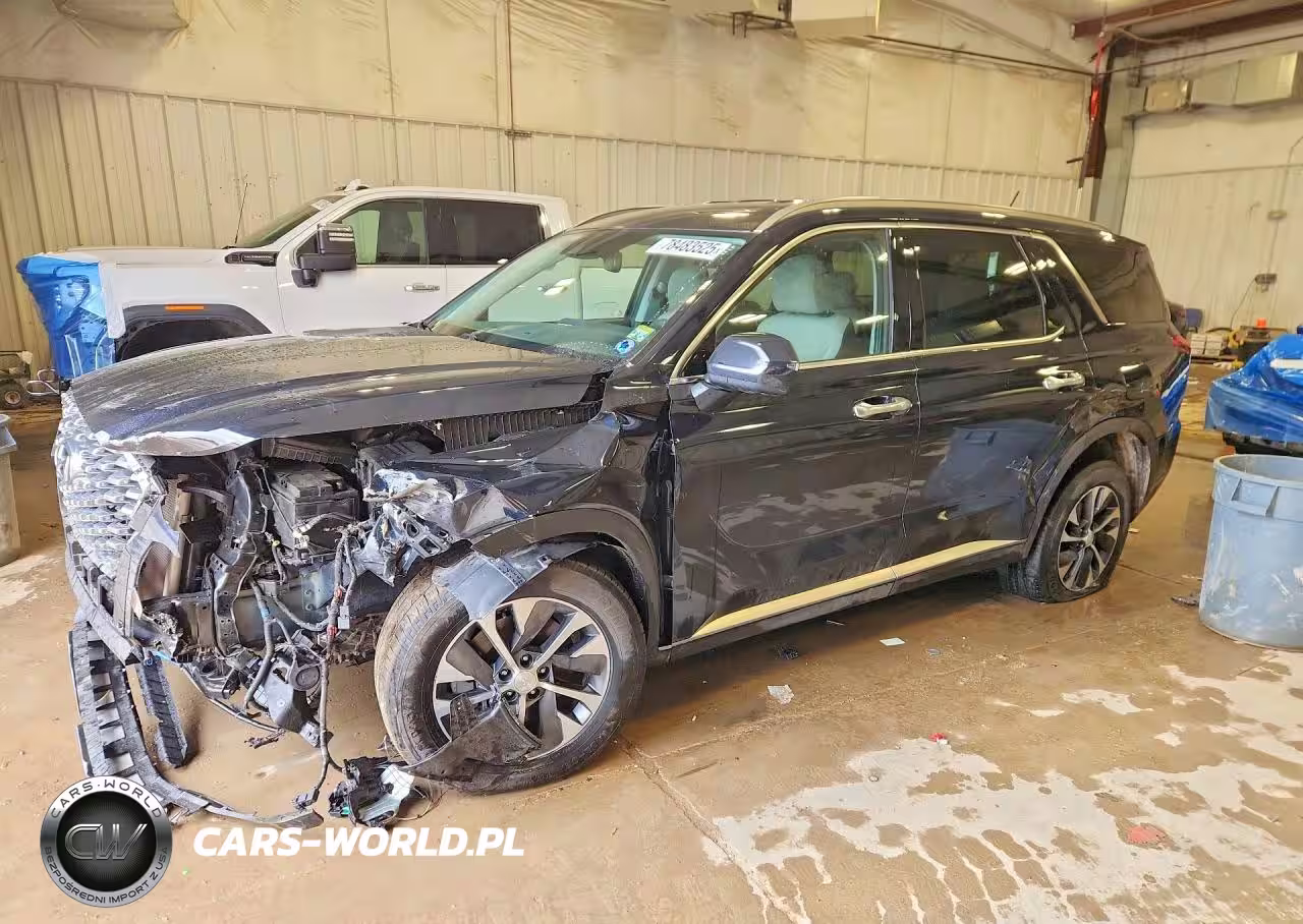 2020 Hyundai Palisade Sel