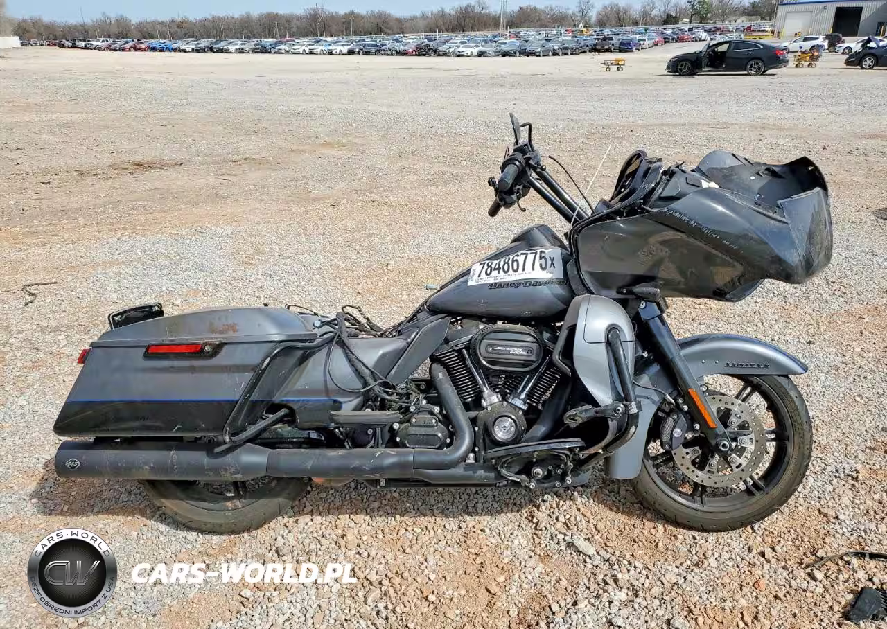 2021 Harley Davidson Fltrk