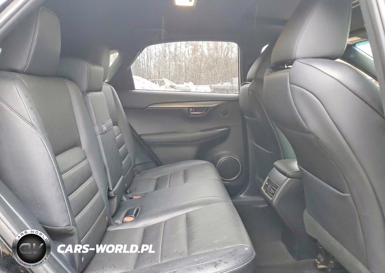 2018 Lexus Nx 300 F Sport VIN:JTJYARBZ8J2085821 - 10
