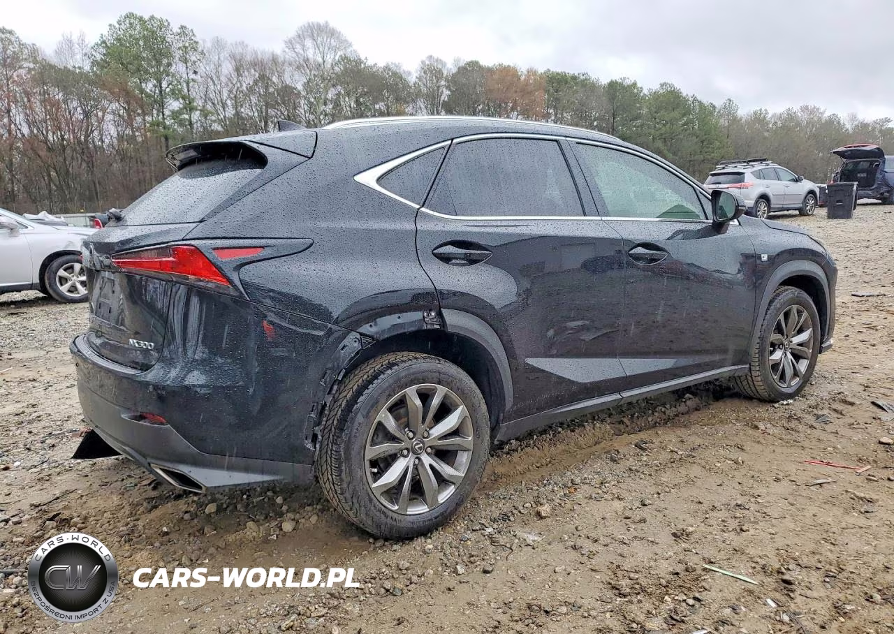 2018 Lexus Nx 300 F Sport VIN:JTJYARBZ8J2085821 - 3