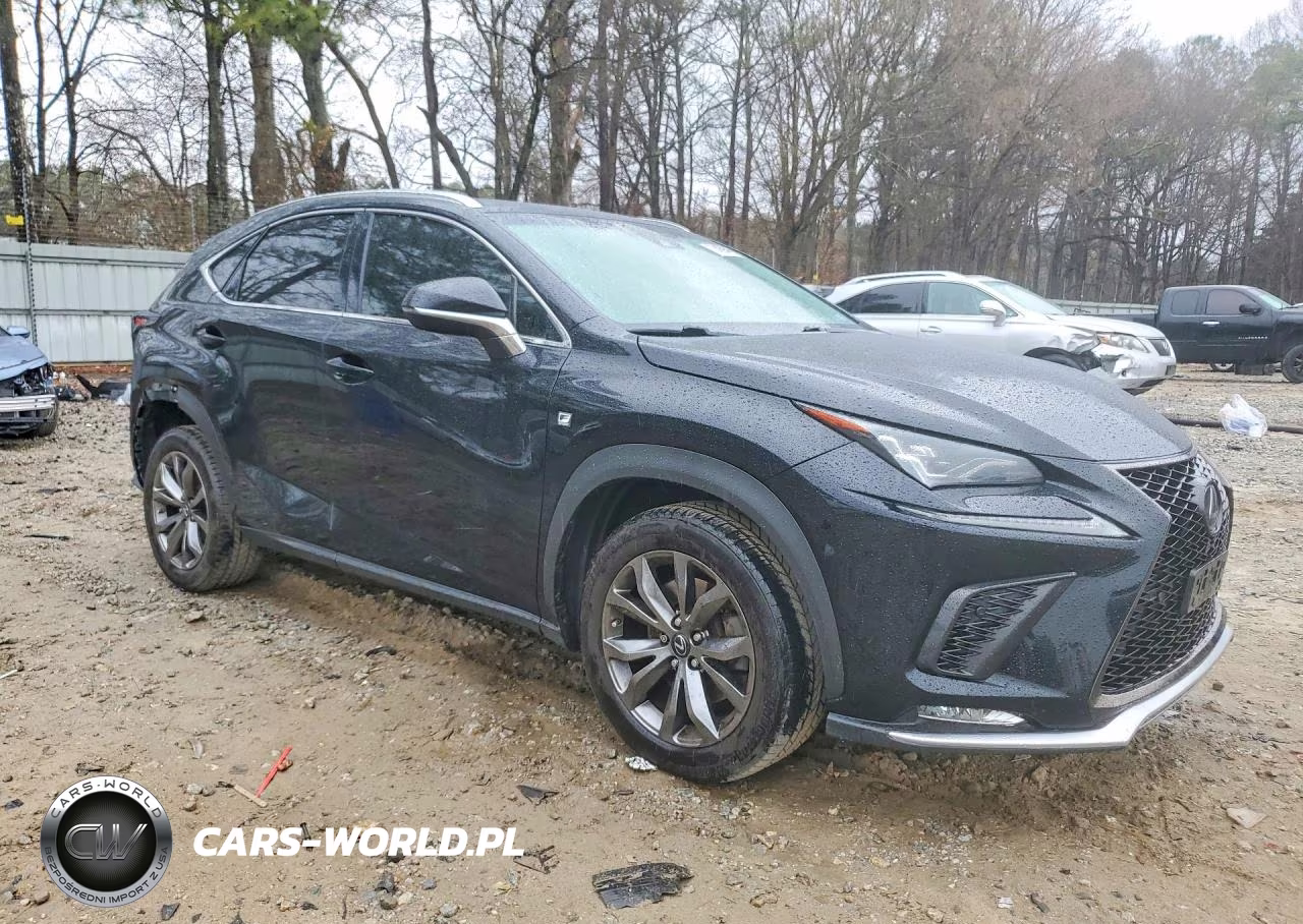 2018 Lexus Nx 300 F Sport VIN:JTJYARBZ8J2085821 - 4