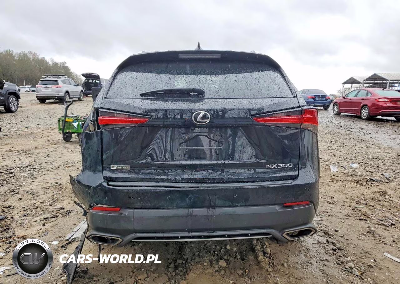 2018 Lexus Nx 300 F Sport VIN:JTJYARBZ8J2085821 - 6