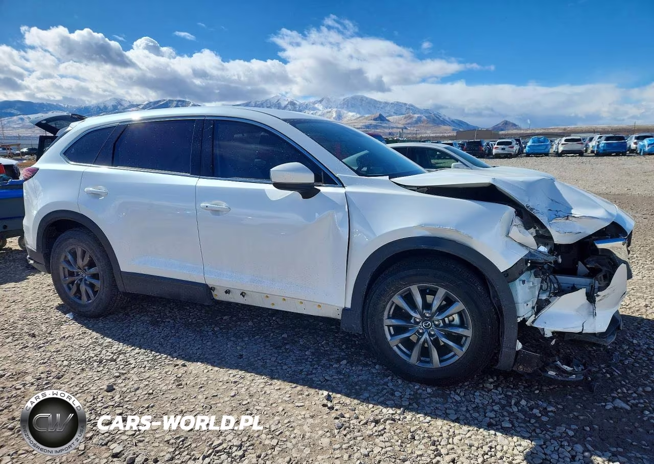 2021 Mazda Cx-9 Touring VIN:JM3TCBCY5M0537414 - 4