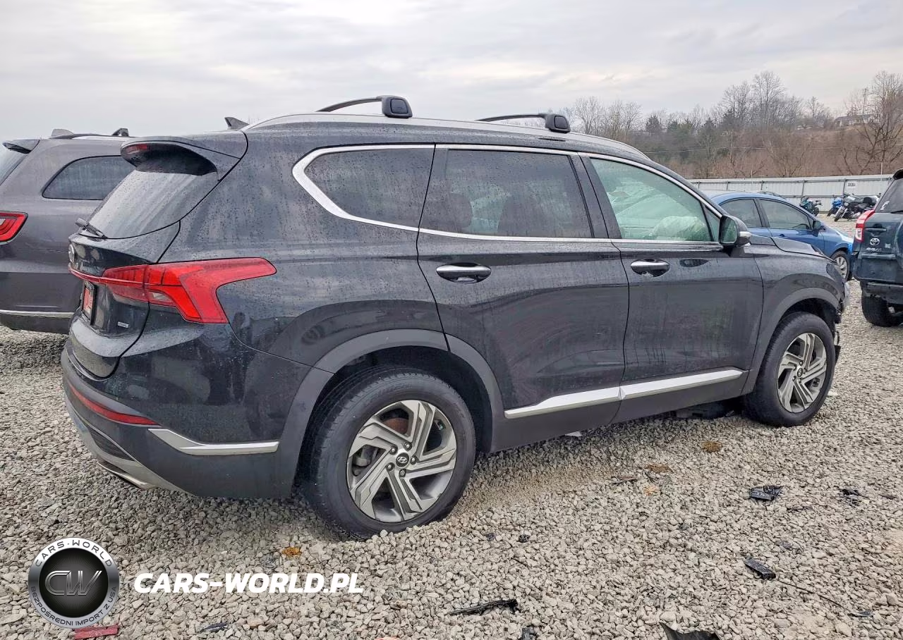 2022 Hyundai Santa Fe VIN:5NMS3DAJ0NH380382 - 3