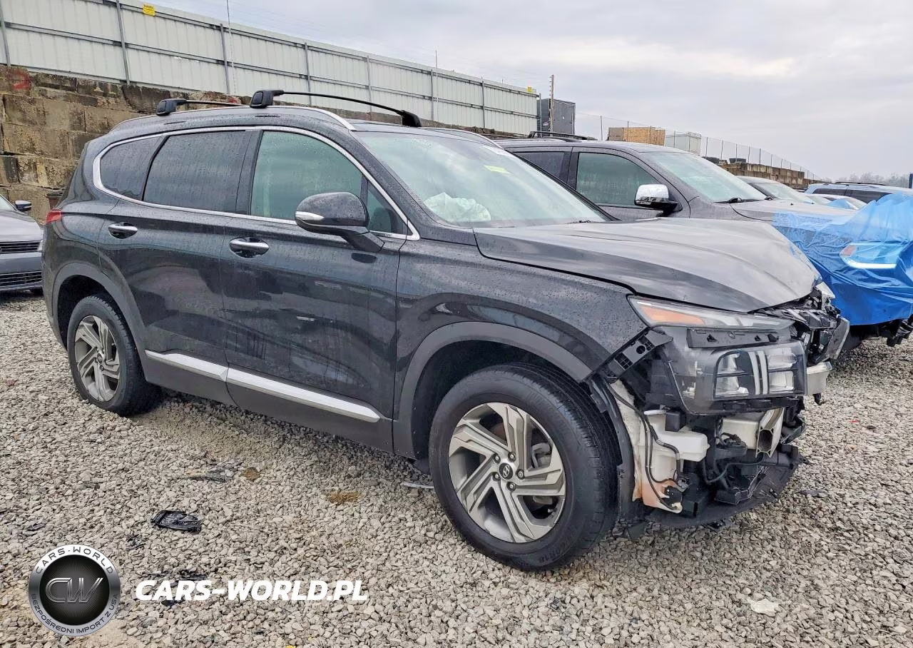 2022 Hyundai Santa Fe VIN:5NMS3DAJ0NH380382 - 4