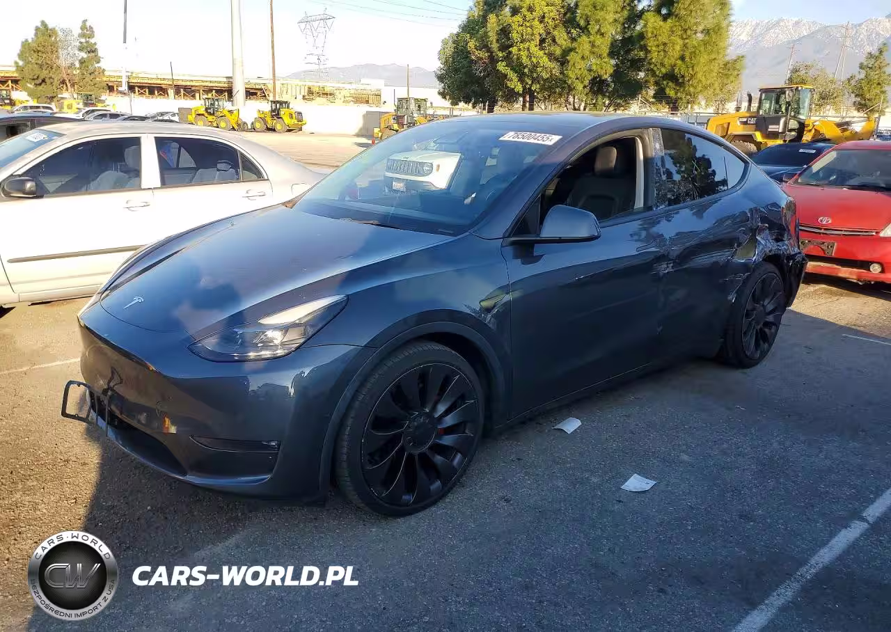 2021 Tesla Model Y