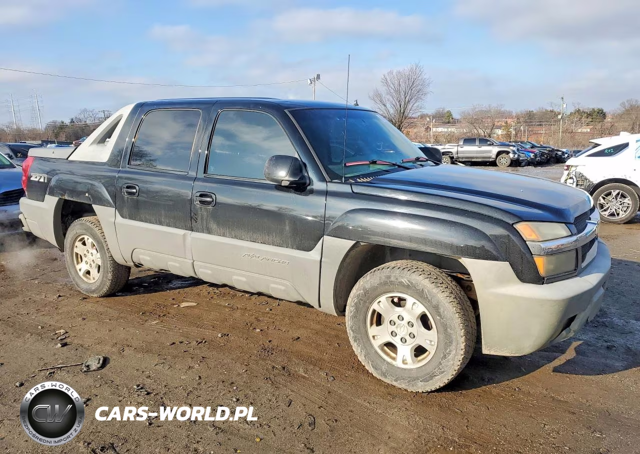 2002 Chevrolet Avalanche K1500 VIN:3GNEK13T72G185794 - 4