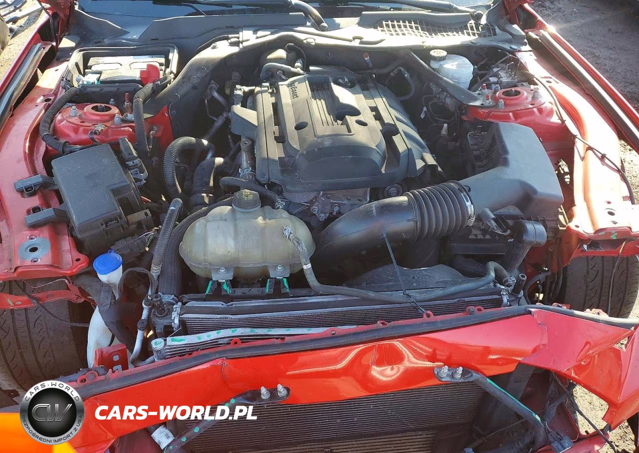 2020 Ford Mustang VIN:1FATP8UH4L5131484 - 11