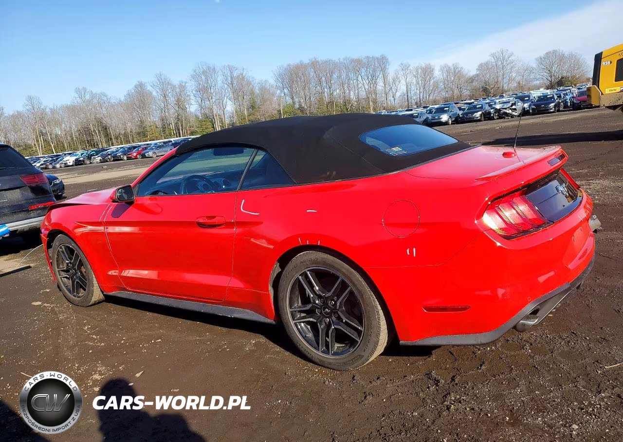 2020 Ford Mustang VIN:1FATP8UH4L5131484 - 2