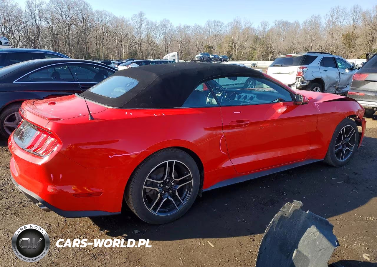 2020 Ford Mustang VIN:1FATP8UH4L5131484 - 3