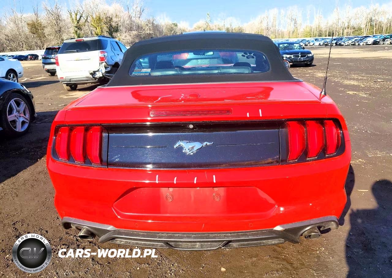2020 Ford Mustang VIN:1FATP8UH4L5131484 - 6