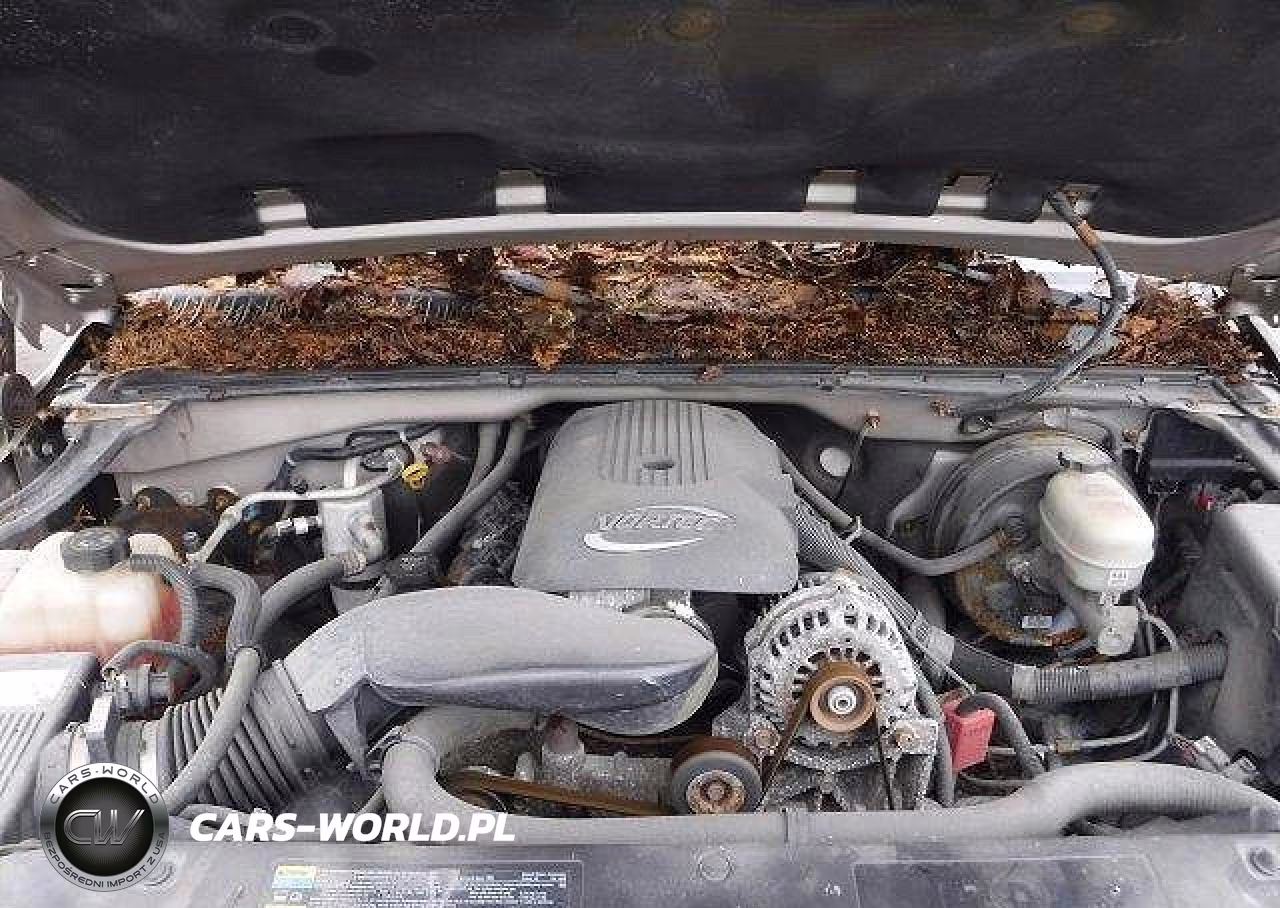 2006 GMC New Sierra K1500 VIN:1GTEK19B66Z196640 - 6