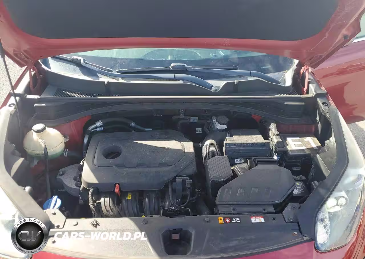 2020 Kia Sportage Lx VIN:KNDPMCAC3L7739632 - 12